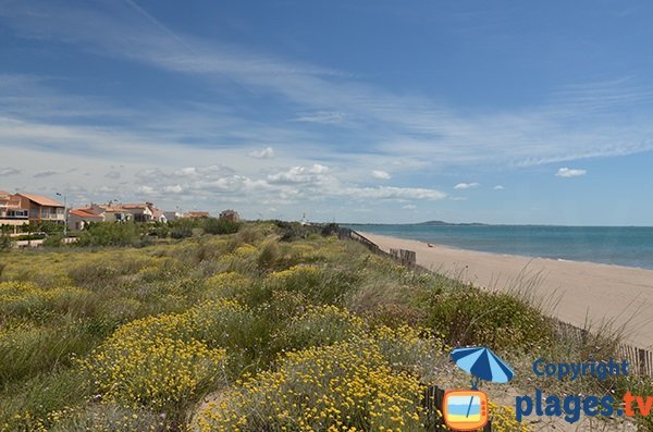 Plage à proximité du centre ville de Portiragnes