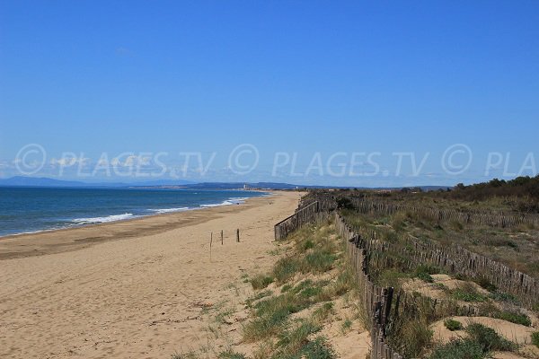 Wild beach in Portiragnes  towards Sérignan