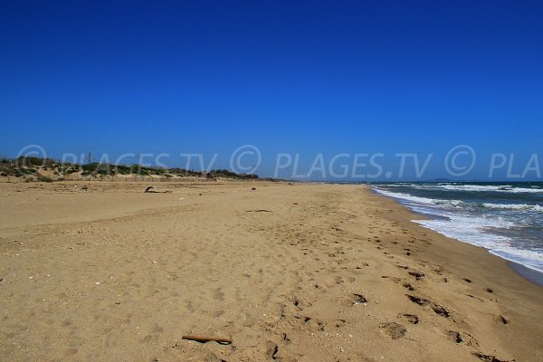 Plage Est de Portiragnes