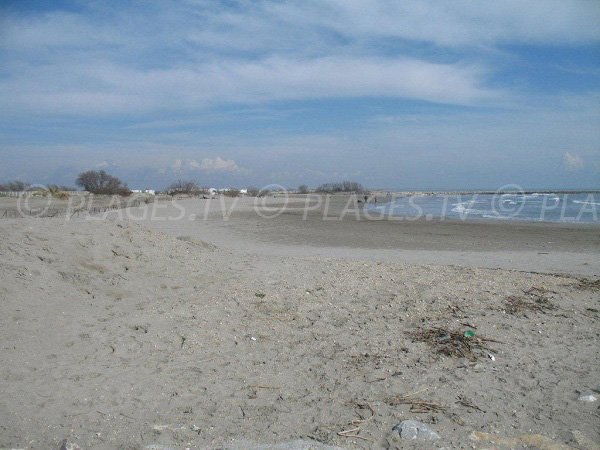 Plage sauvage aux Saintes Maries de la Mer