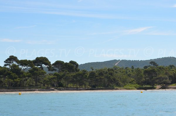 Environnement de la plage de l'Estagnol à Bormes les Mimosas dans le Var