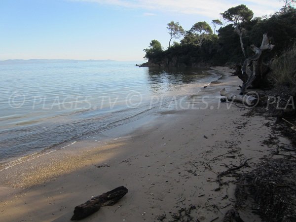 Sand beach in the Giens peninsula - Hyeres - France