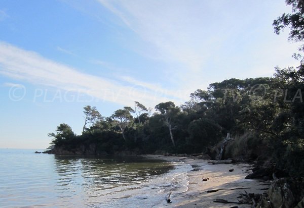 Shaded beach in Giens in France