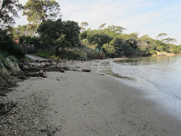 Spiaggia dell'Estanci a Hyères - Francia