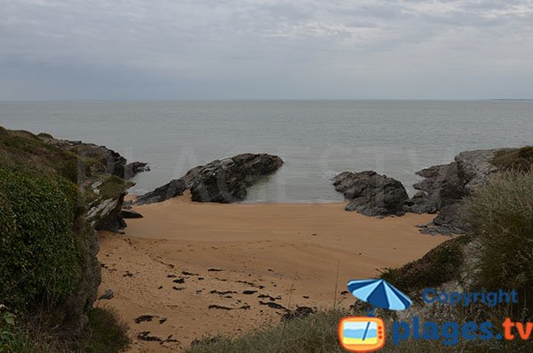 Cala sulla strada per la spiaggia dello stagno - Pornic