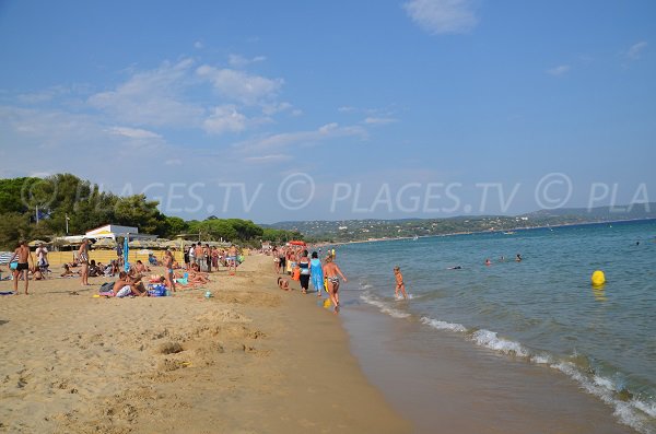 Eukalyptusstrand in Cavalaire-sur-Mer