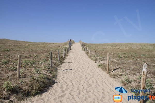 Accès à la plage de la Falaise par la dune - Guidel