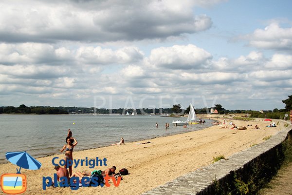 Plage à proximité du débarcadère - Ile d'Arz