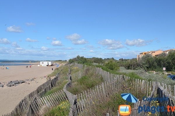 Dune della spiaggia del Centro a Vias