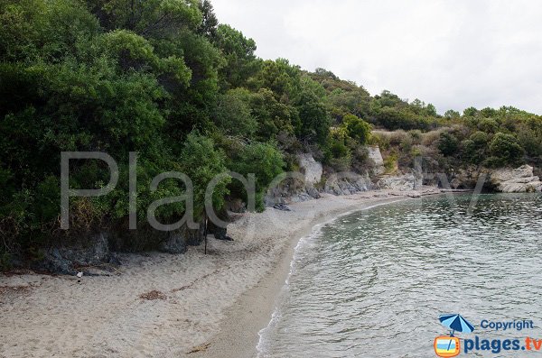 Fava beach in Solenzara in Corsica