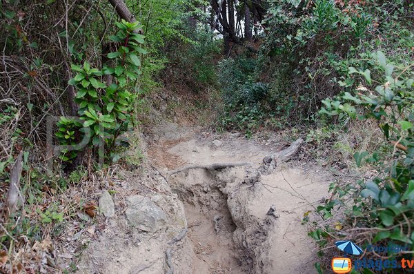 Accesso alla spiaggia Fava