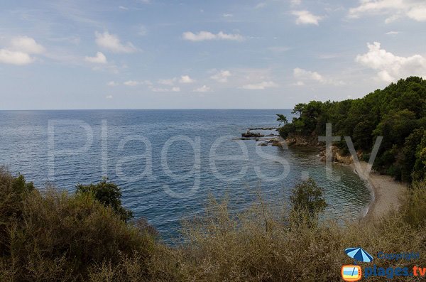 Foto della spiaggia di Fava a Solenzara - Corsica