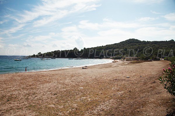 Photo de la plage de Favone en direction de la pointe de la Guardia