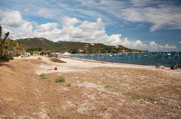 Foto della spiaggia di Favone - Corsica - Conca