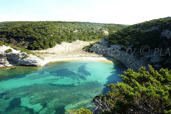 Plage de Fazzio de Bonifacio