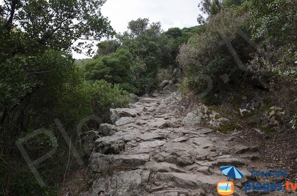 Sentier d'accès à la plage de Ficajola - Piana