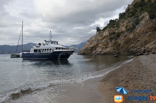 Tourist boats in the Ficajola beach - Piana