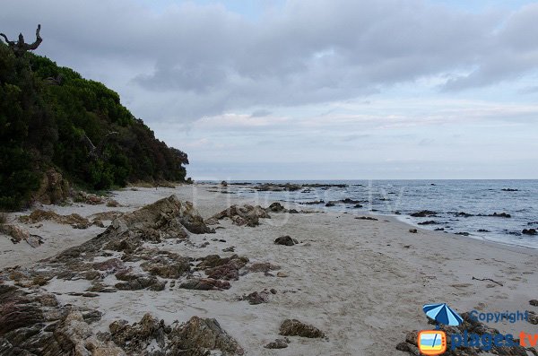 Sand beach of Figa - Corsica