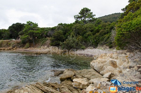 Crique de Figa - Corse