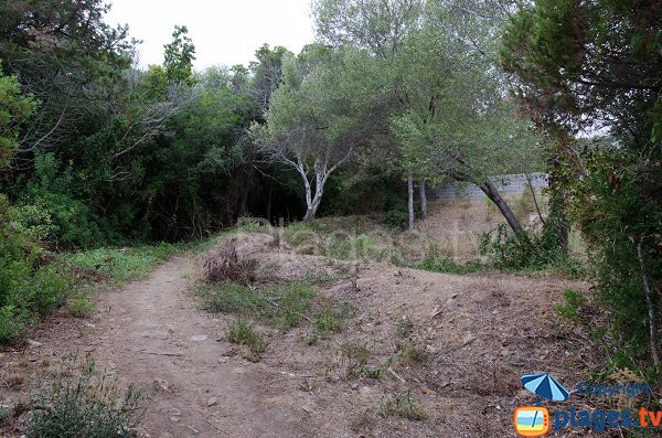 Sentier d'accès à la plage de Figa