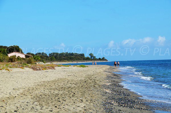 Plage de Figaretto - Haute-Corse