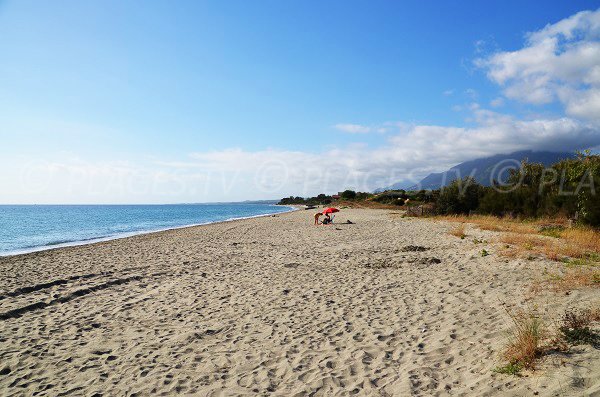 Photo de la plage de Figaretto à Poggio Mezzana - Corse