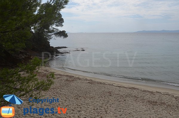 Photo de la plage du domaine de Rayol Canadel