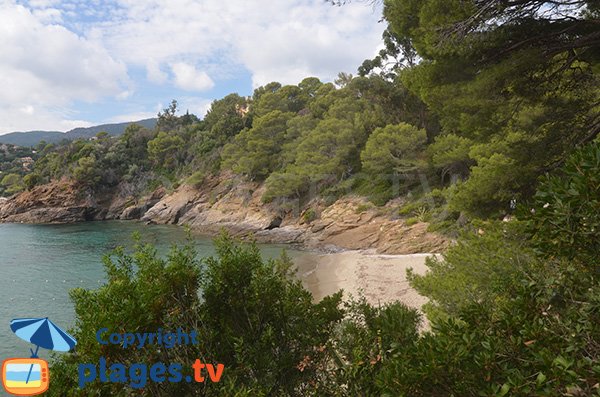 Photo de la crique du Figuier à Rayol Canadel