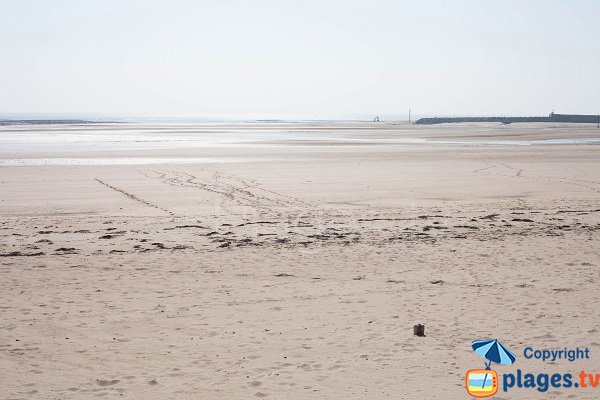 Plage de la flèche dunaire à marée basse - Barneville