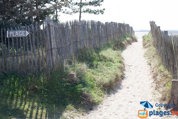 Accès à la plage de la Flèche Dunaire de Barneville