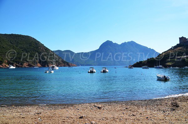 Vue sur le golfe de Girolata