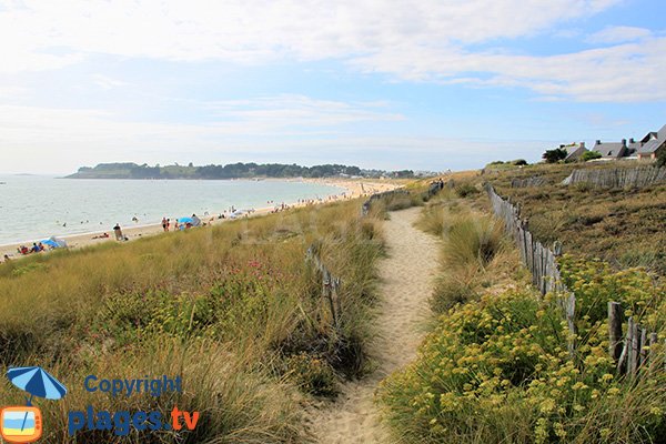 Sentier sur la dune de la plage du Fogeo à Arzon