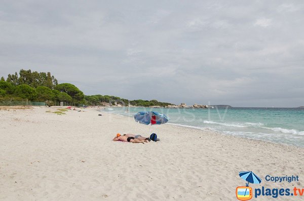 Folacca beach in France - Corsica