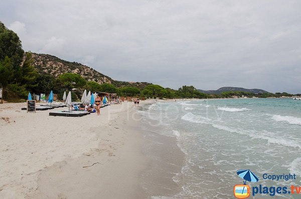 Private beach of Folacca - Porto-Vecchio - Palombaggia