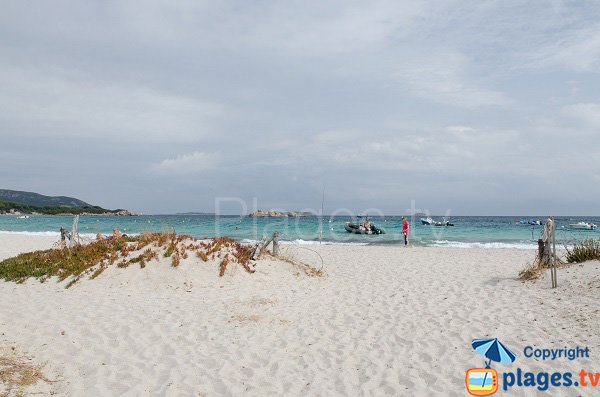 Foto spiaggia di Folacca - Porto-Vecchio