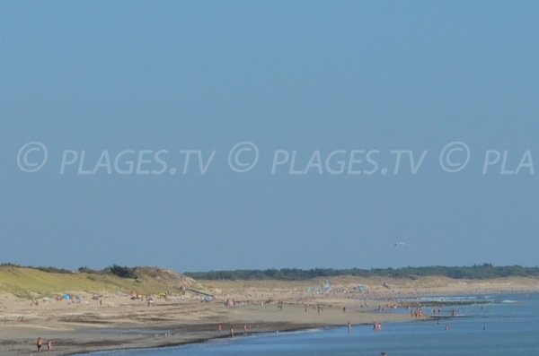 Plage des Follies à Couarde sur Mer sur l'île de Ré