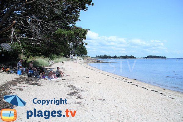 Plage ombragée sur l'ile d'Arz - Fontaine Varia