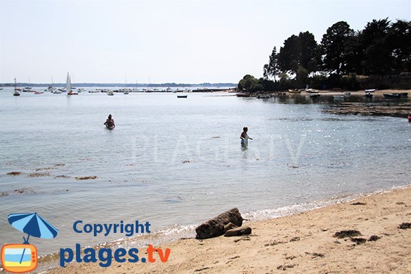 Vue sur le golfe du Morbihan depuis la plage de la Fontaine Varia - Arz