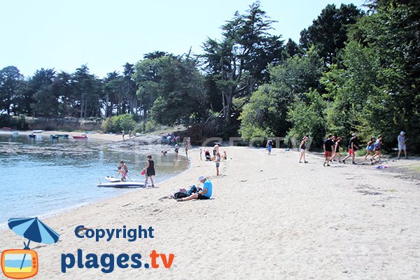 Paddle on the island of Arz