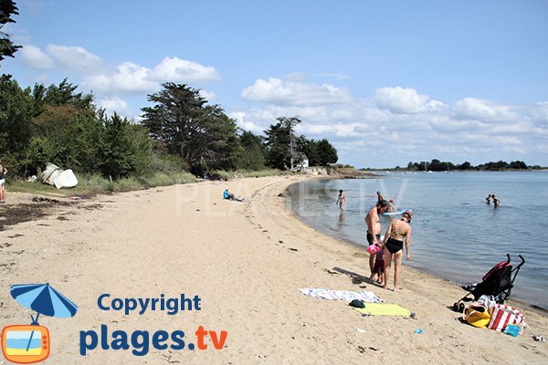 Belle plage de sable sur l'ile d'Arz - Fontaine Varia