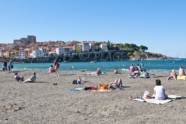 Plage de Banyuls sur Mer avec vue sur le Cap d'Ona