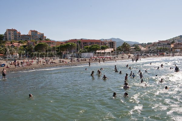 Spiaggia del Fontaulé a Banyuls sur Mer - Francia