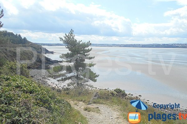 Sentier des douaniers autour de la plage de Fonteneau - Hillion