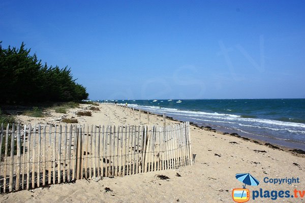 Photo de la plage de Fort Larron à Noirmoutier