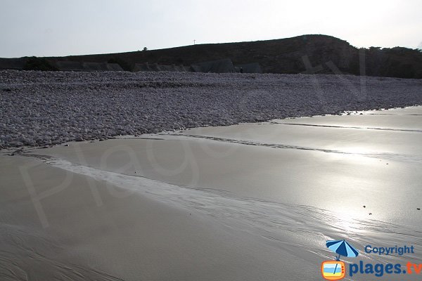 Environnement de la plage de la Fosse Eyrand