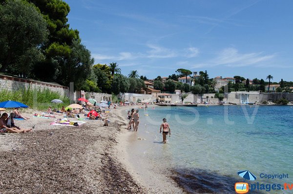 Cani spiaggia di Saint Jean Cap Ferrat