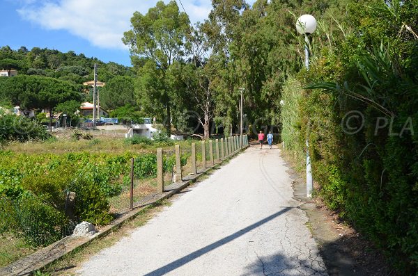 Sentier d'accès à la plage de la Fossette au Lavandou