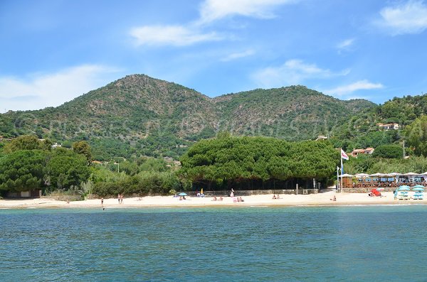 Plage privée à la Fossette au Lavandou