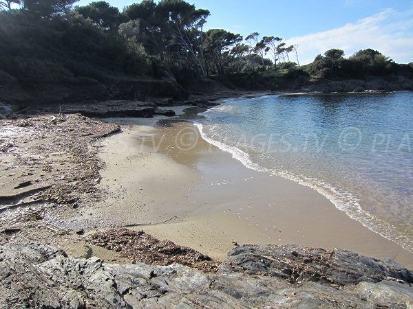 Plage de la calanque du Four à Chaux sur la presqu'île de Giens