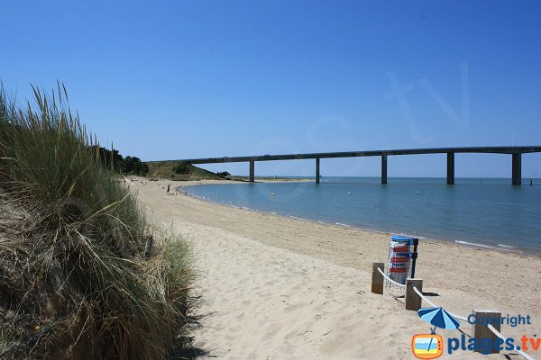  Beach along the forest in Fromentine - La Barre de Monts